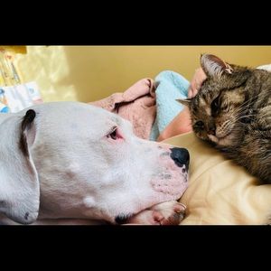 Meet your Posher, Penny